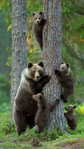 Неожиданная встреча