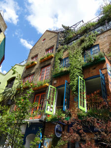 Дом весь в зелени