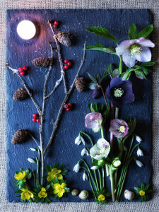 Композиция с морозником