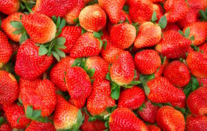 Клубника садовая