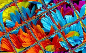 Цветы в кафеле