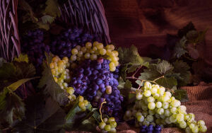 Виноград из корзины