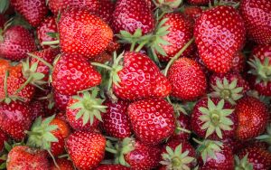 Плотная клубника