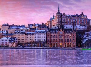 Сиреневый Стокгольм