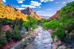 Зайон национальнай парк