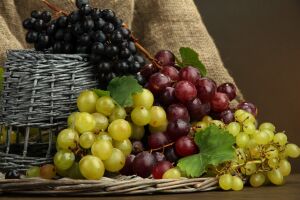 Разнообразный виноград