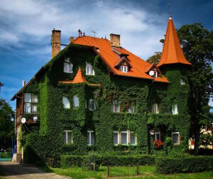 Английский дом в плюще