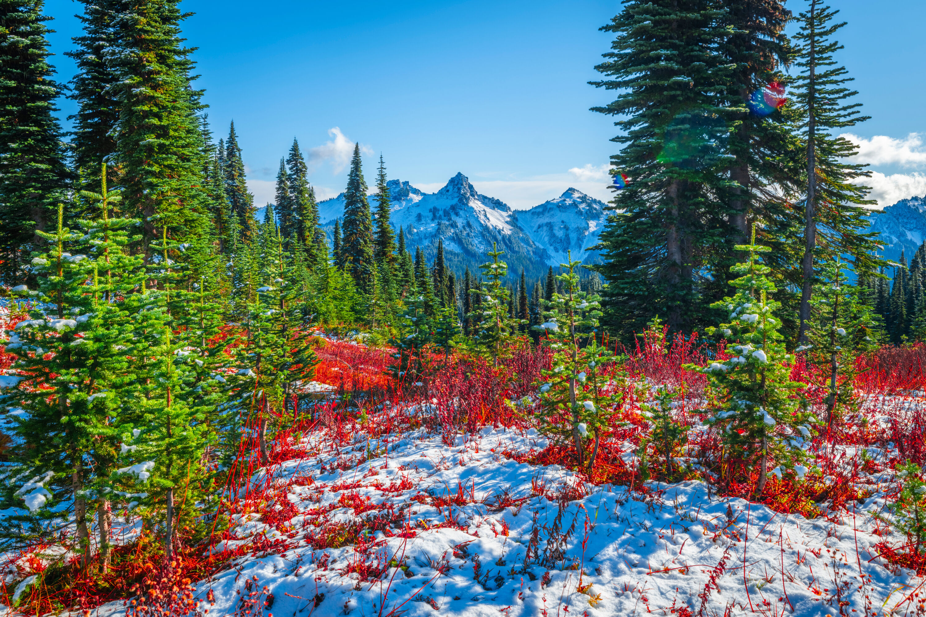 Америка в снегу