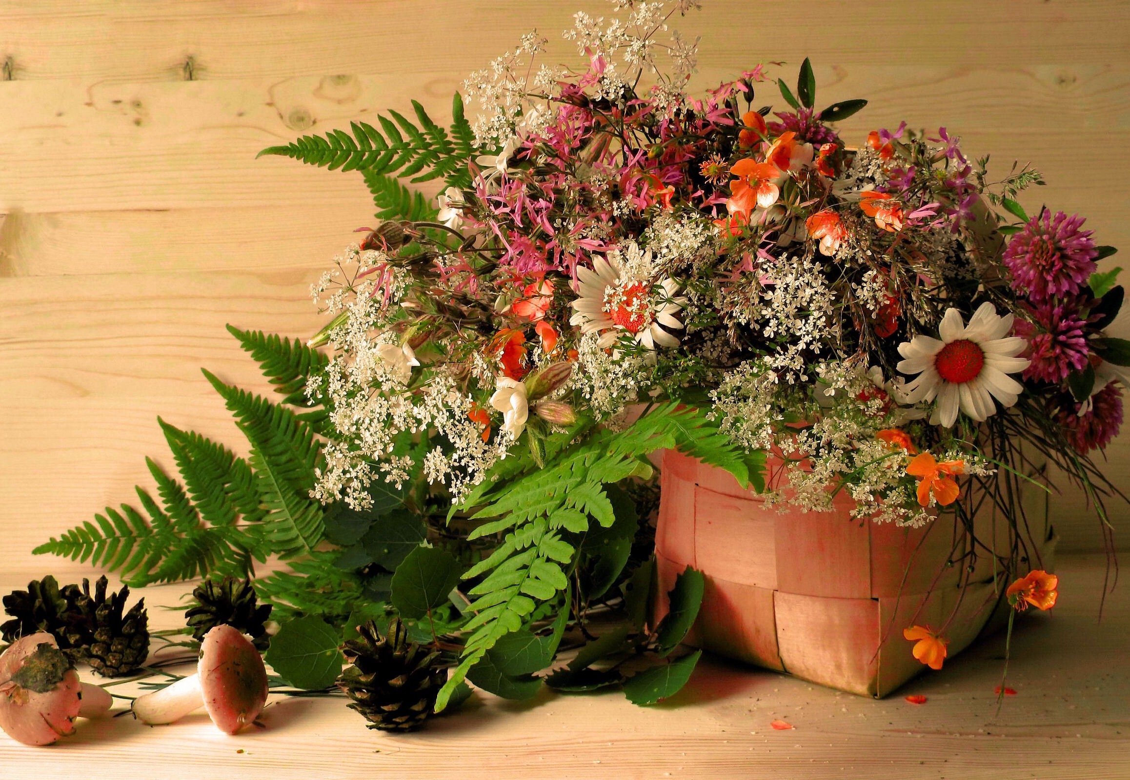 Грибочки и цветочки