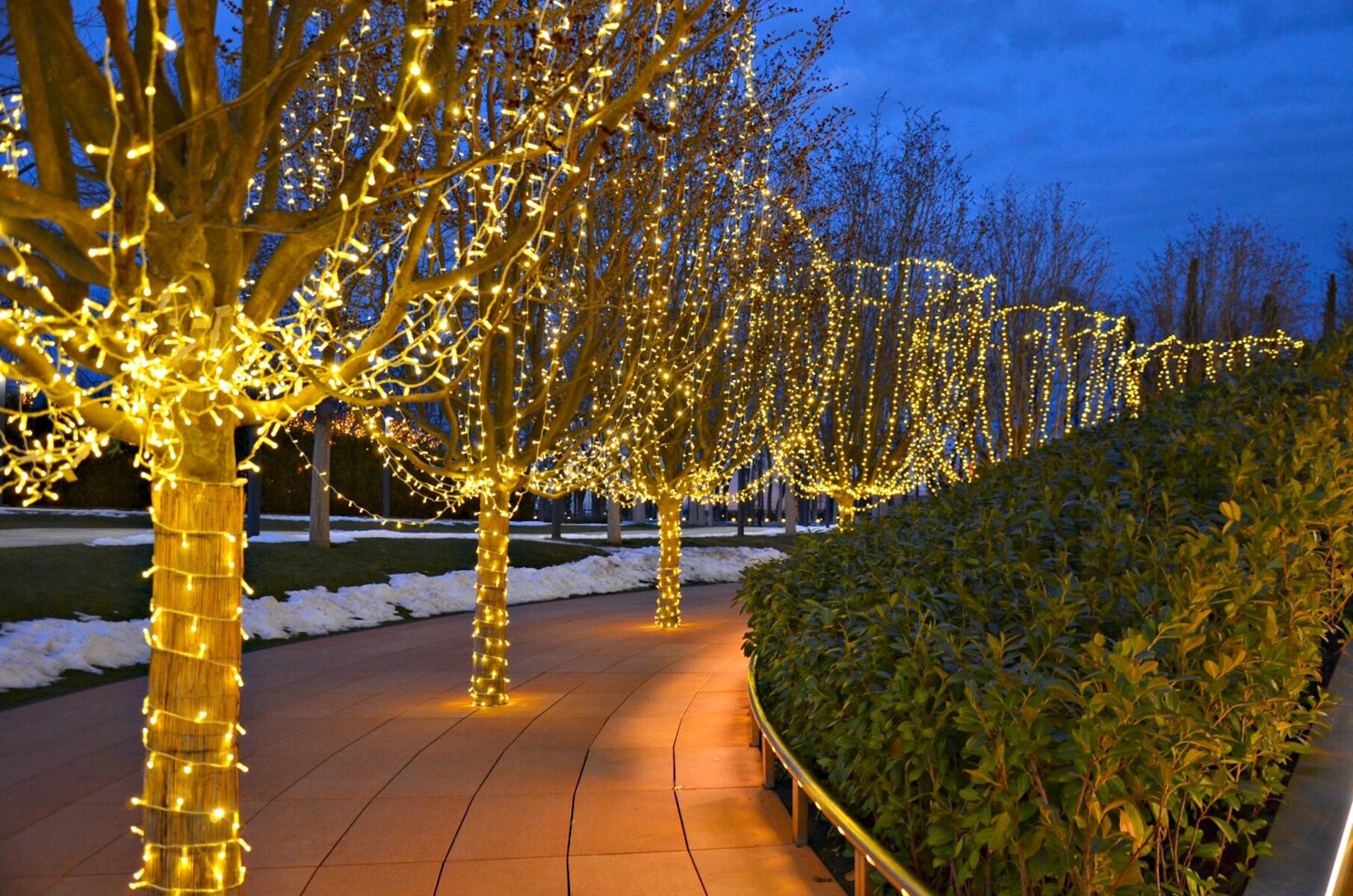 Парк в Краснодарске