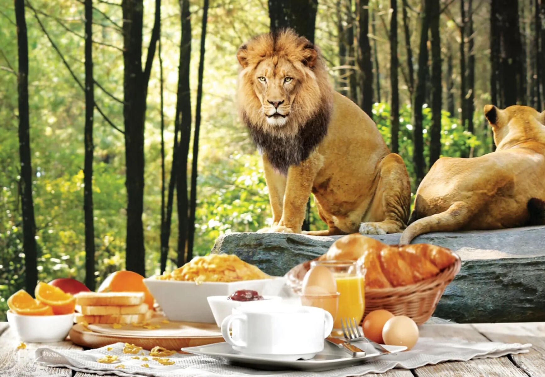 Завтрак со львами