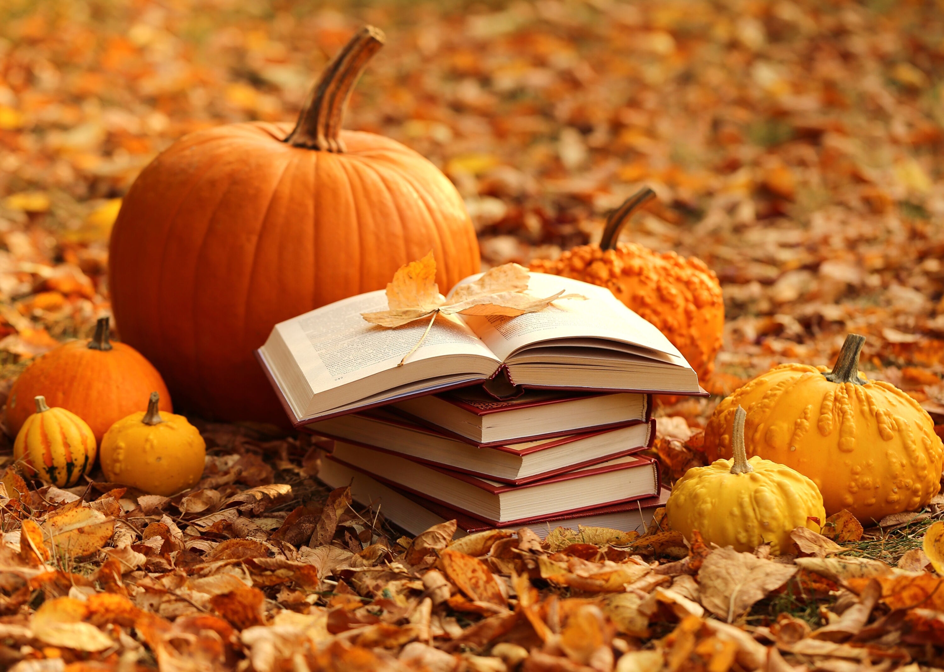 Тыквы и книги