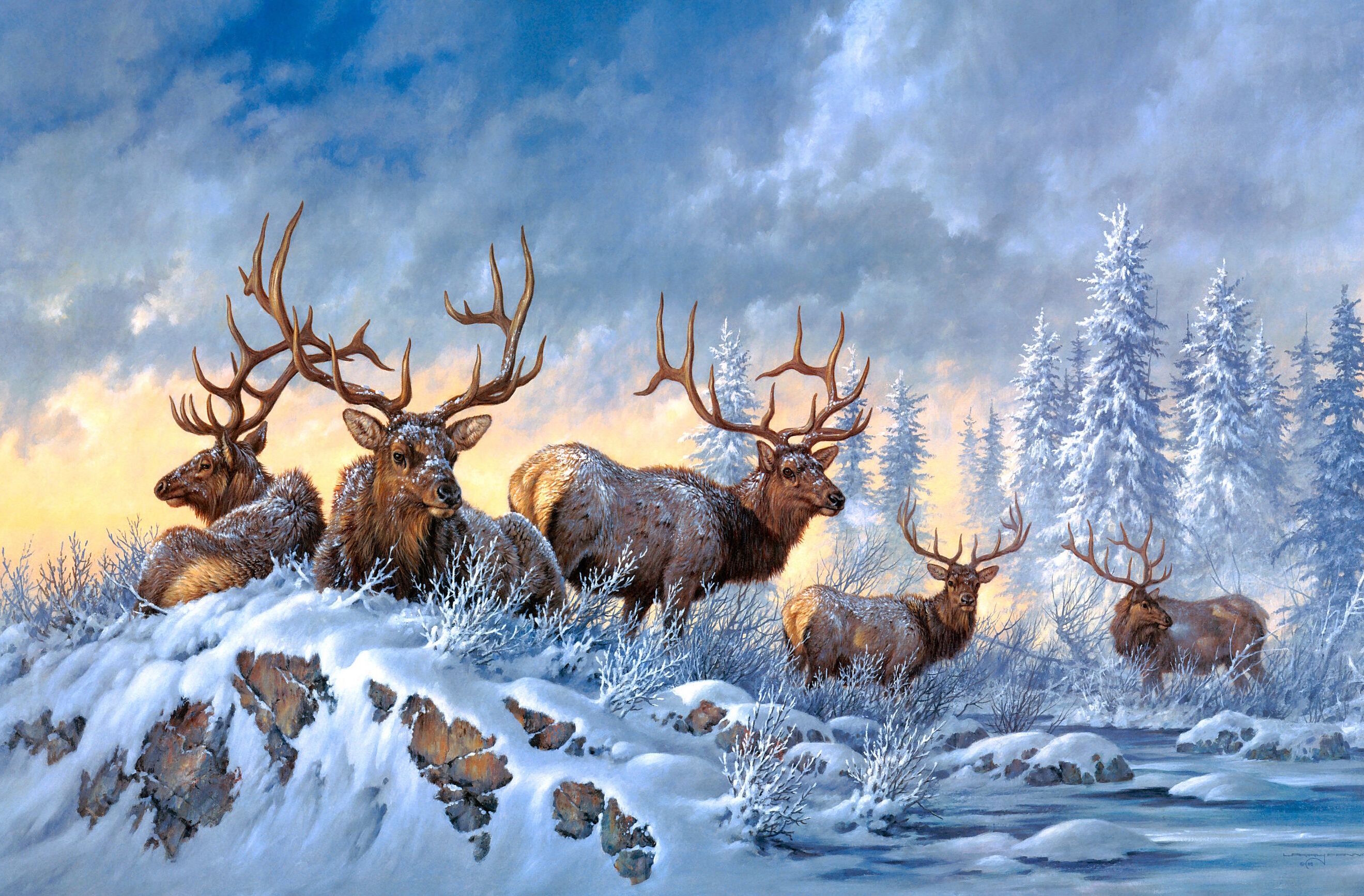 Дикие олени зимой