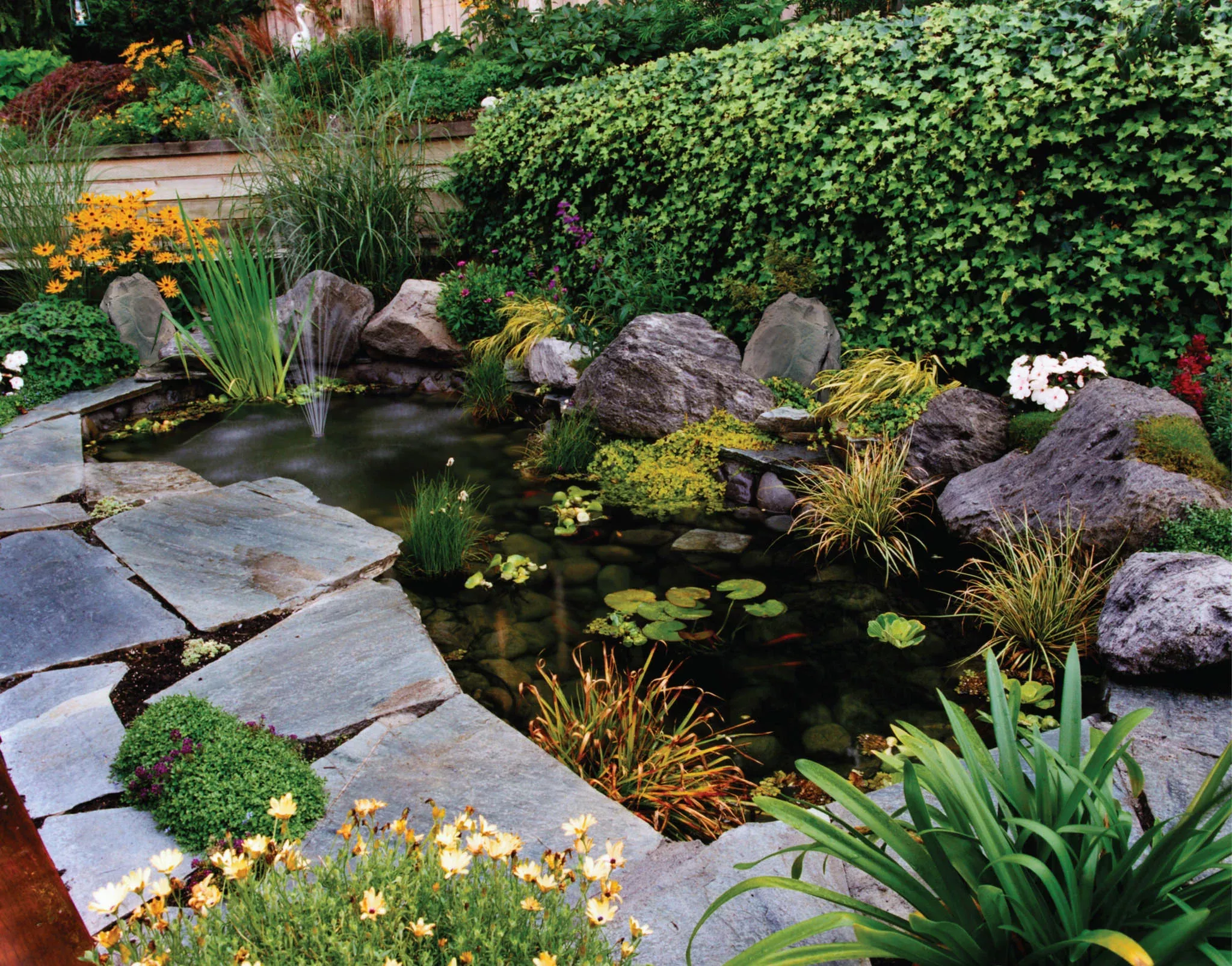 Пруд с рыбками