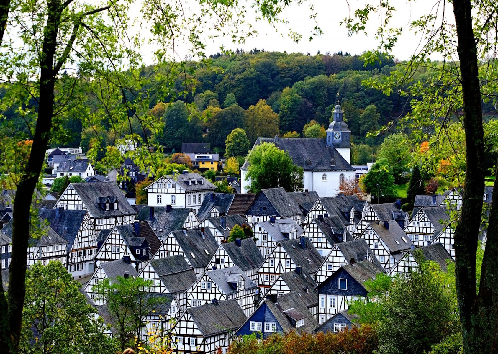 Серые крыши Фрейденберга