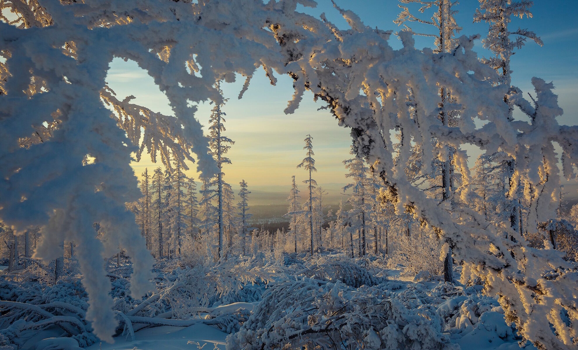 Снежная арка