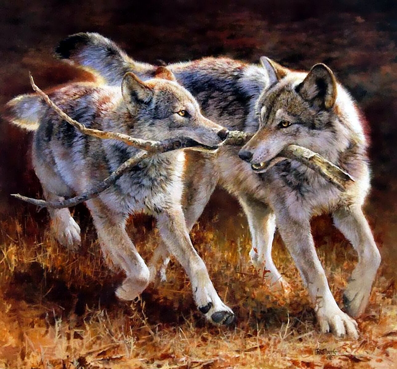 Палка на двоих