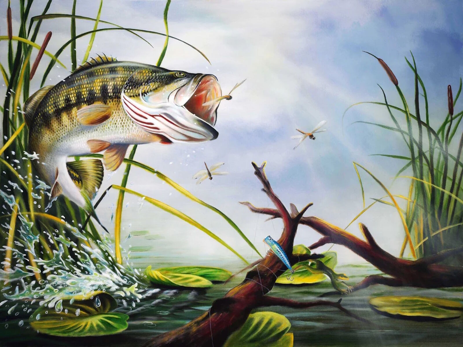 Окунь и стрекозы