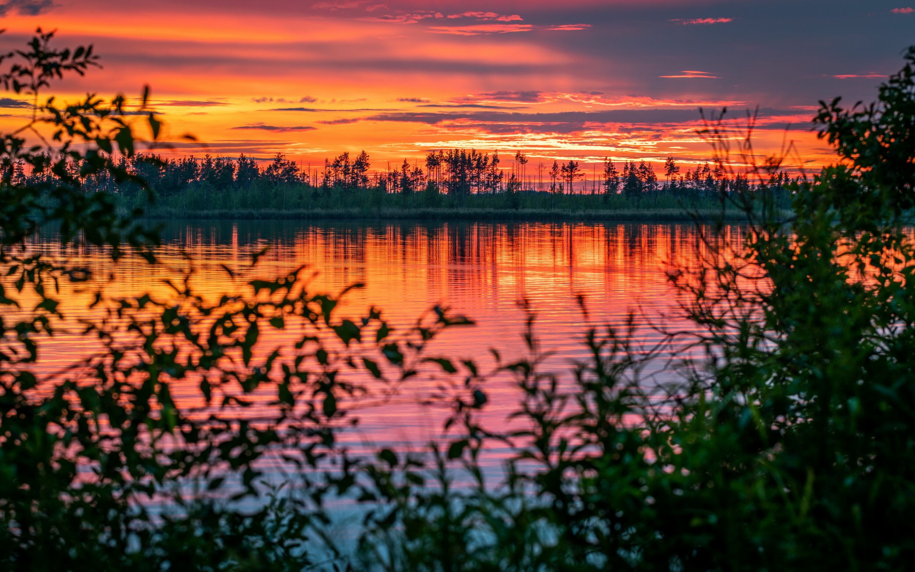 Красный закат на озере