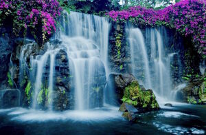 Водопад и сиреневые цветы