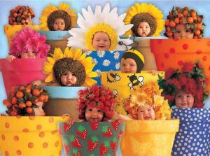 Цветы жизни