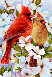 Птицы кардиналы