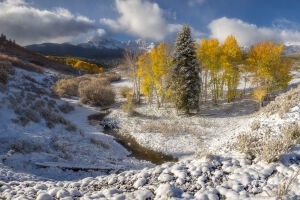 Ранняя зима пейзаж