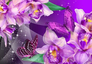 Бабочки и сиреневые орхидеи