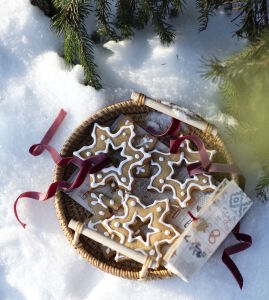 Печеньки на снегу