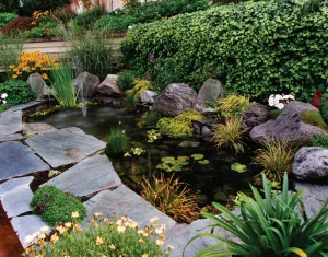 Пруд с рыбками