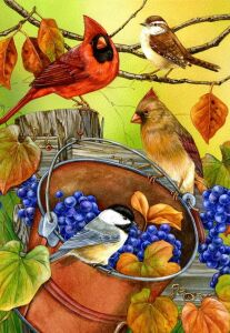 Птички и виноград