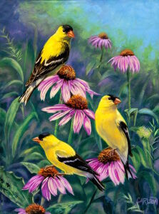 Птицы на цветах