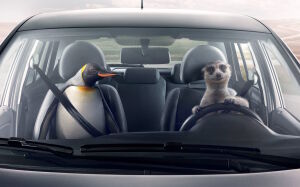 Пингвин и сурикат