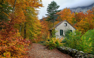 Домик осенью в лесу