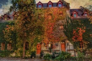 Фуггерай Аугсбург