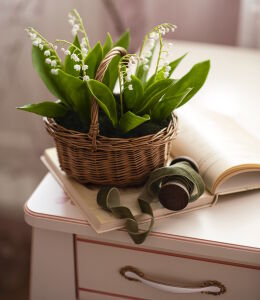 Ландыши в корзинке