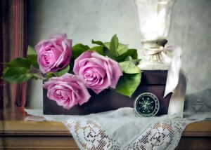 Розы и компас