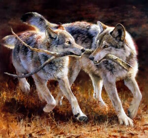 Палка на двоих