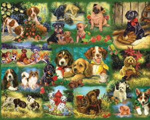 Коллаж с собачками