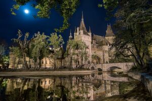 Замок Вайдахуньяд ночью