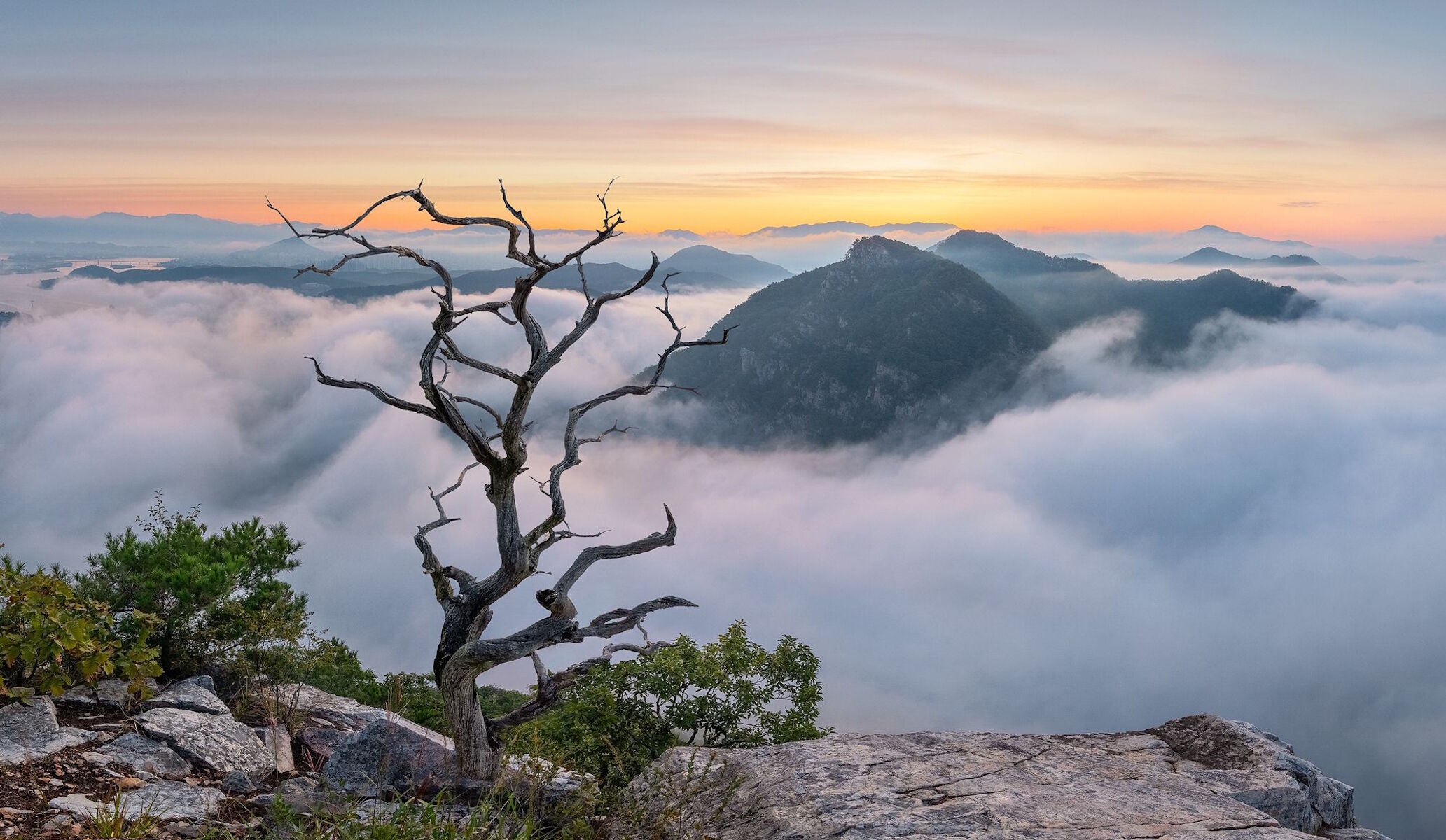 Коряга на вершине