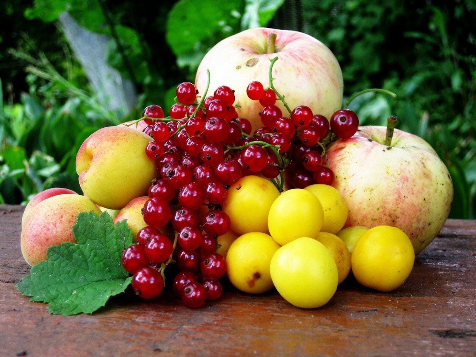 Яблоки и красная смородина