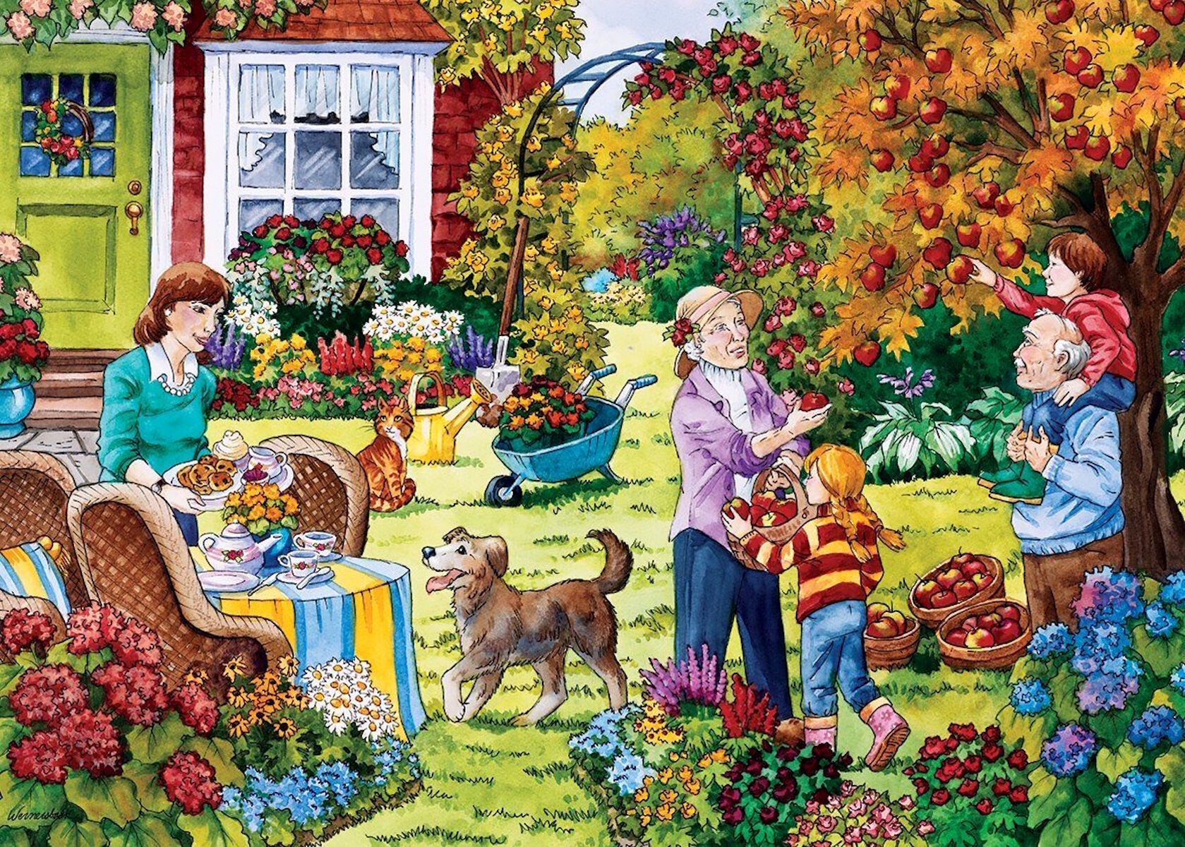 Сбор садовых яблок