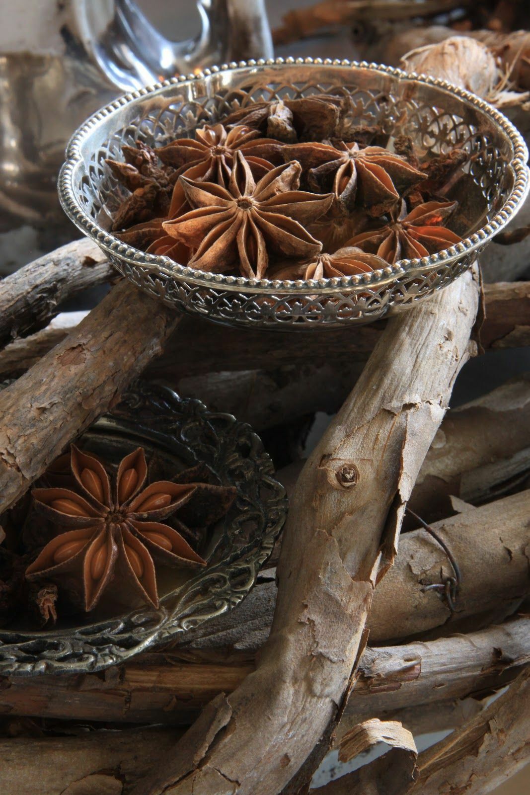 Приправа бадьян