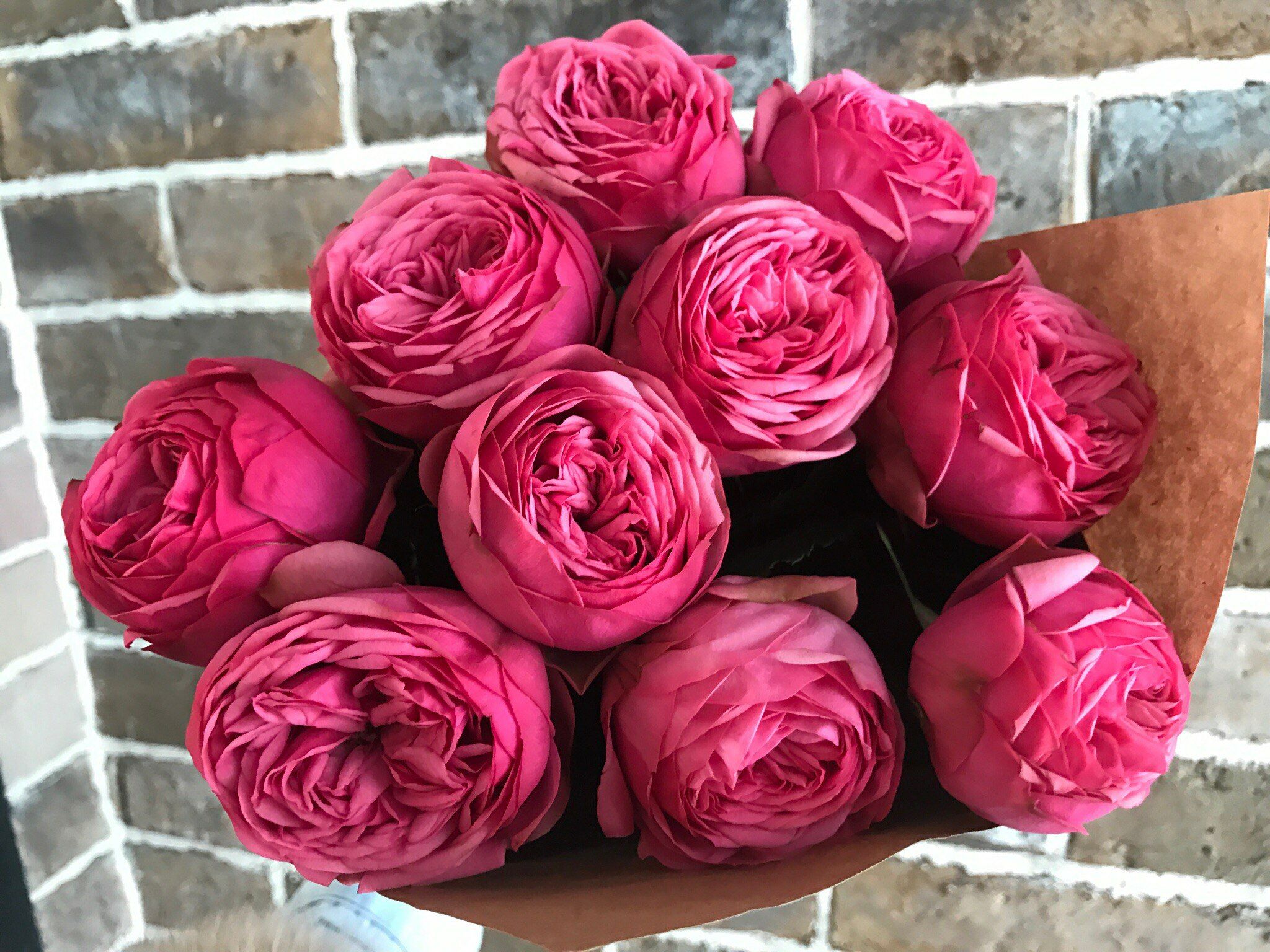 Роза Пинк Пиано