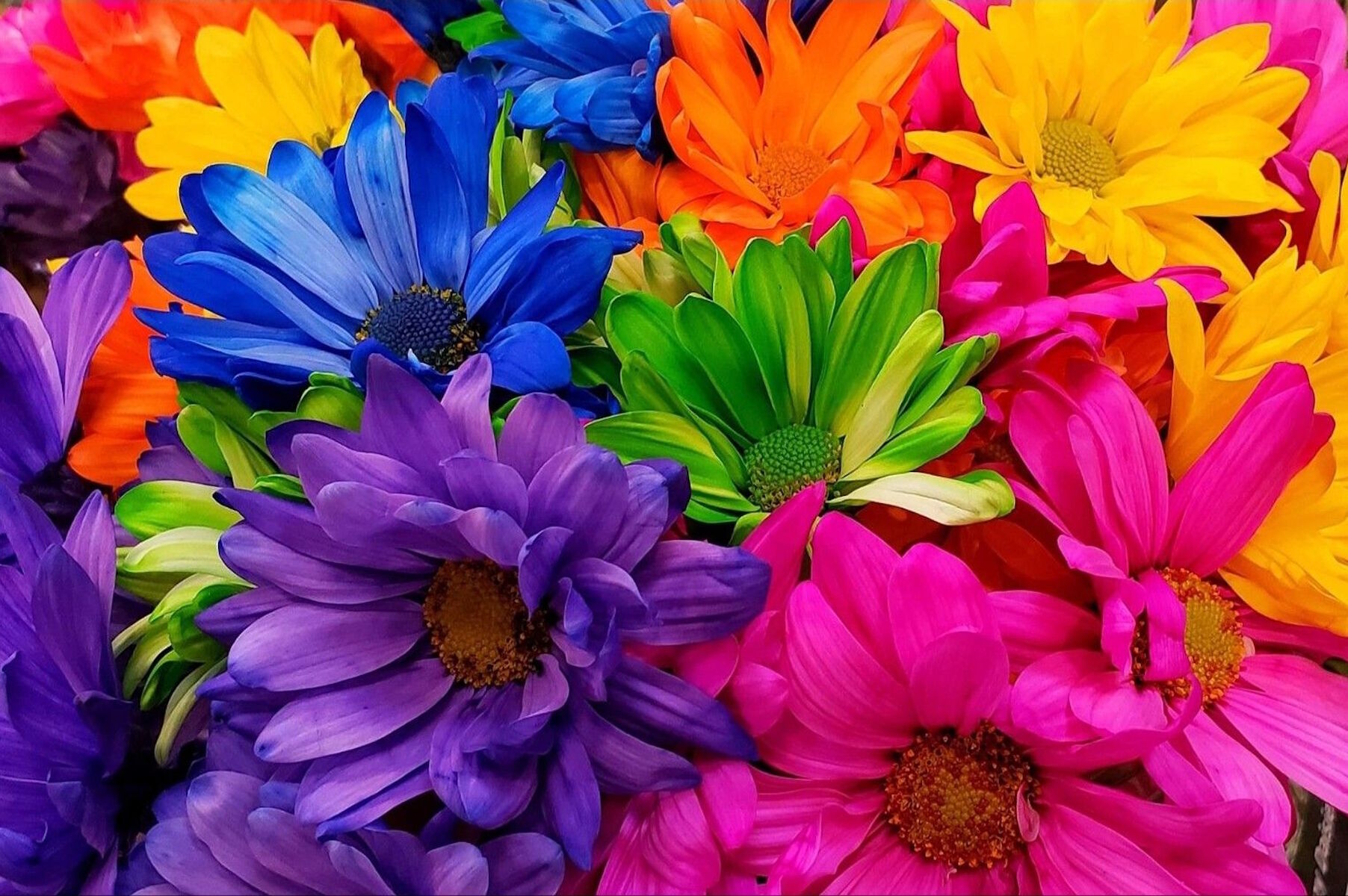 Яркость цветов