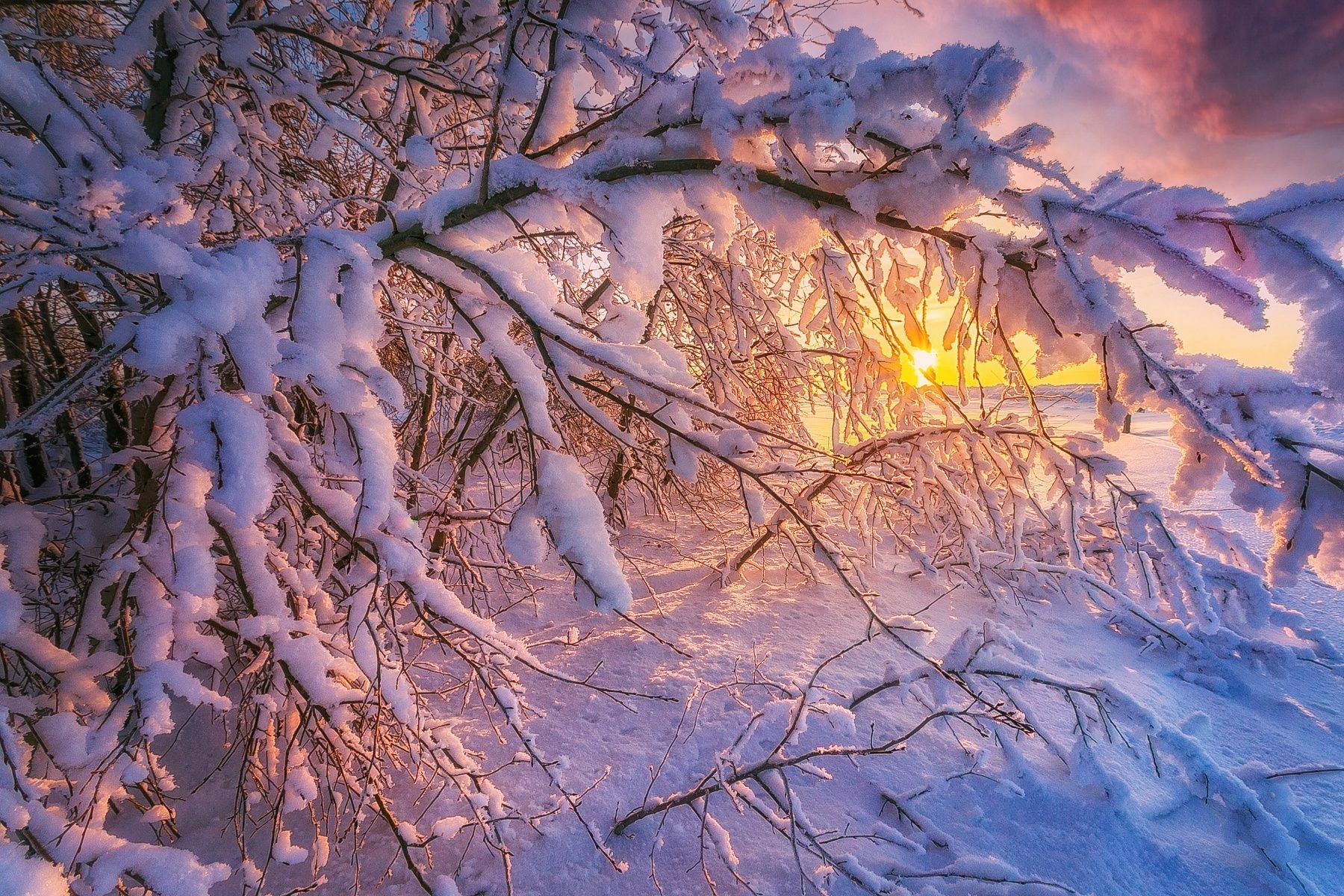 Зимний морозный закат