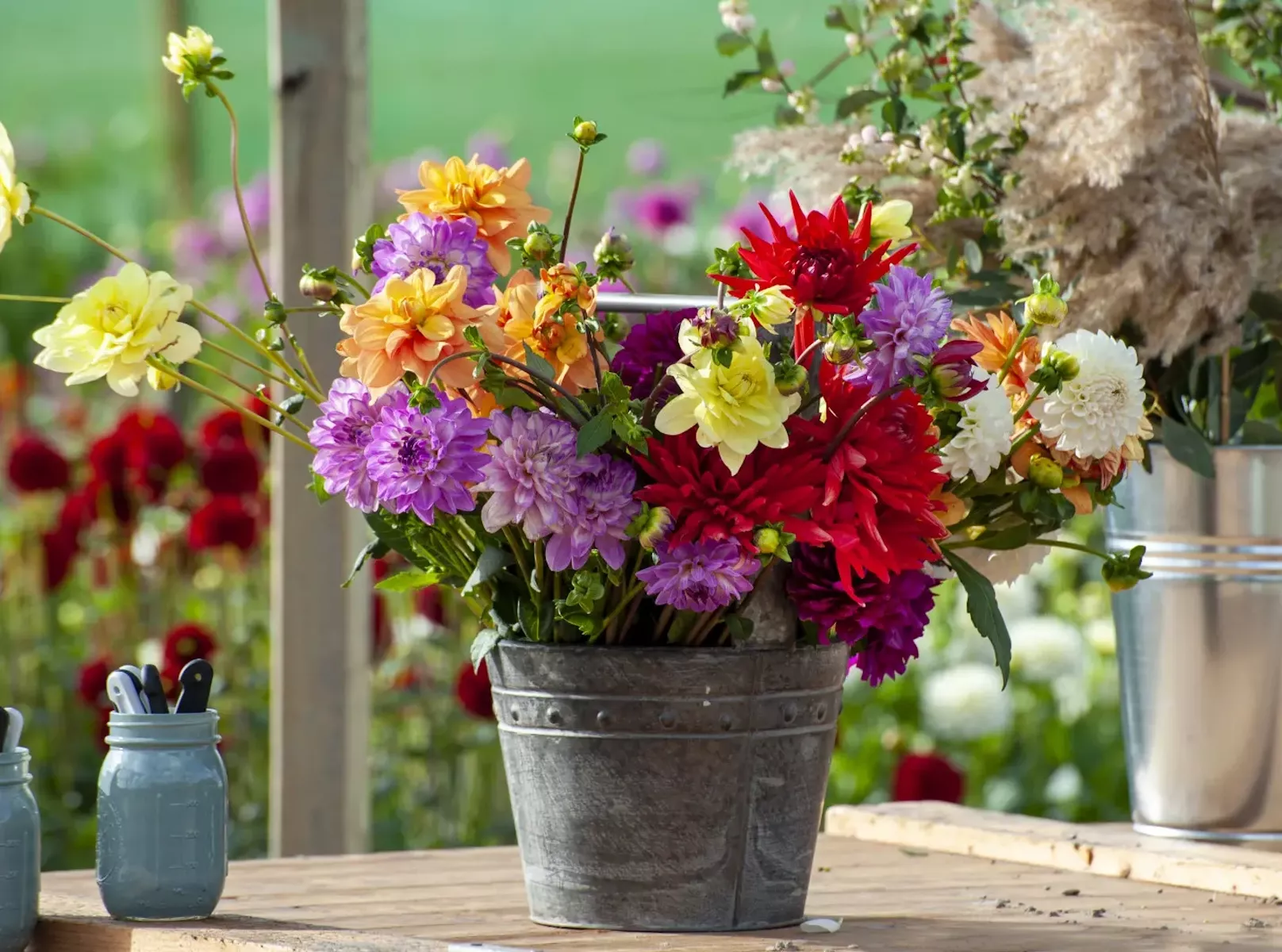 Букет в ведре