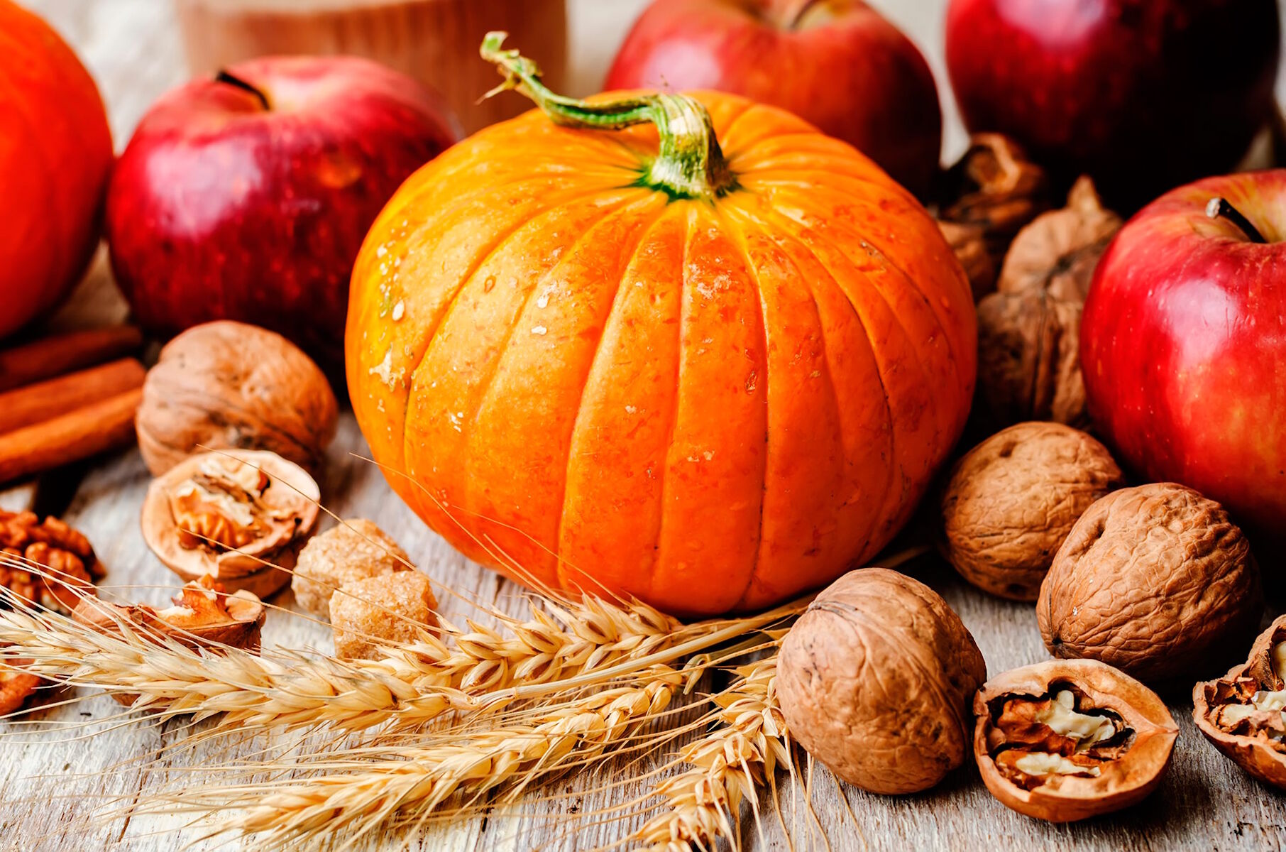 Тыковка и орешки