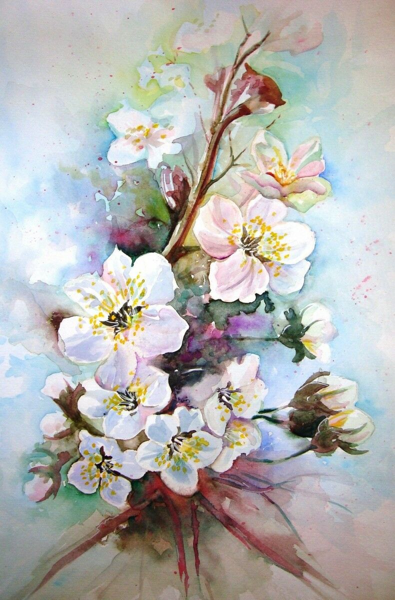 Цветущая яблоня акварелью